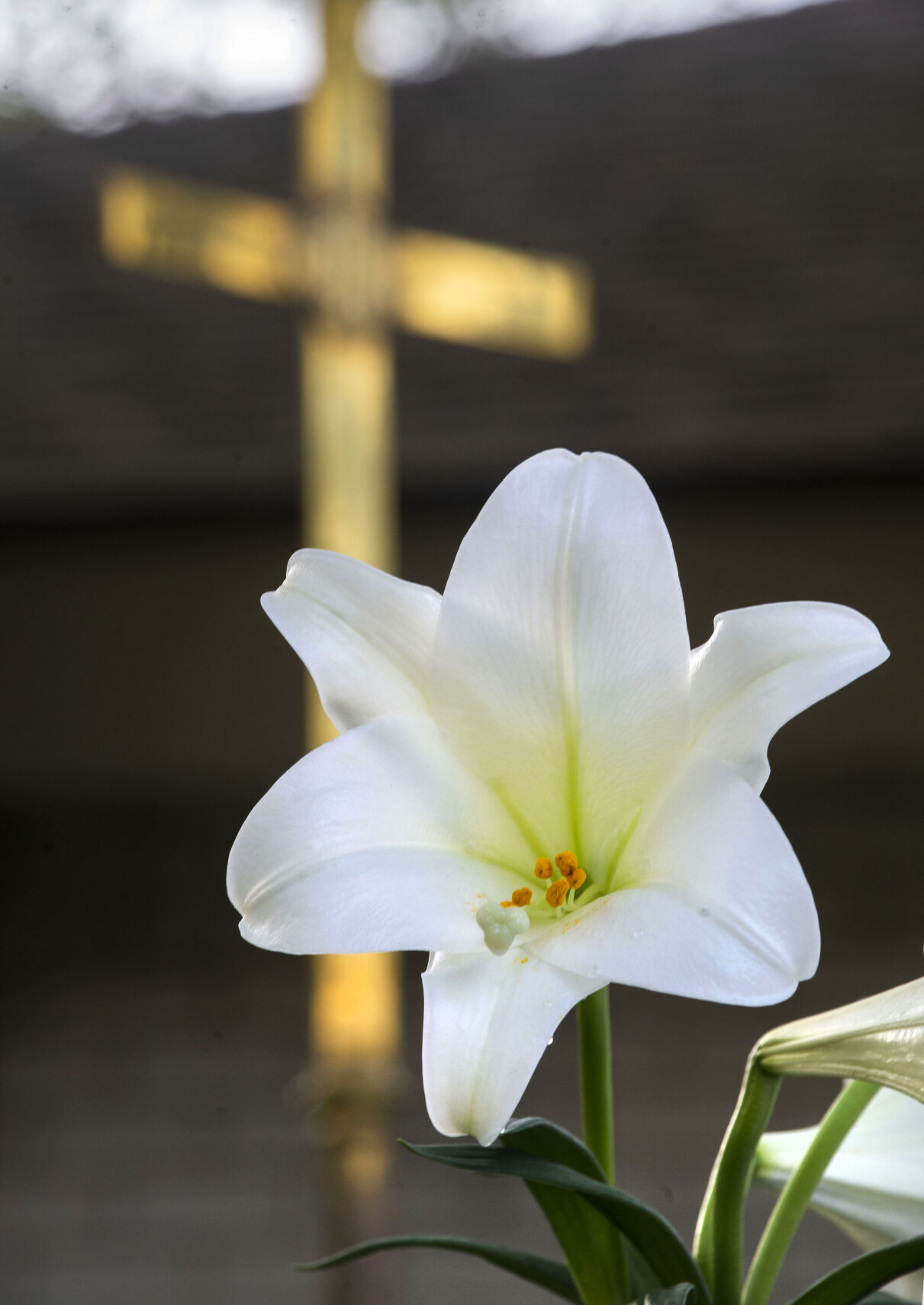 BR.easterservice.040521 TS 160.jpg